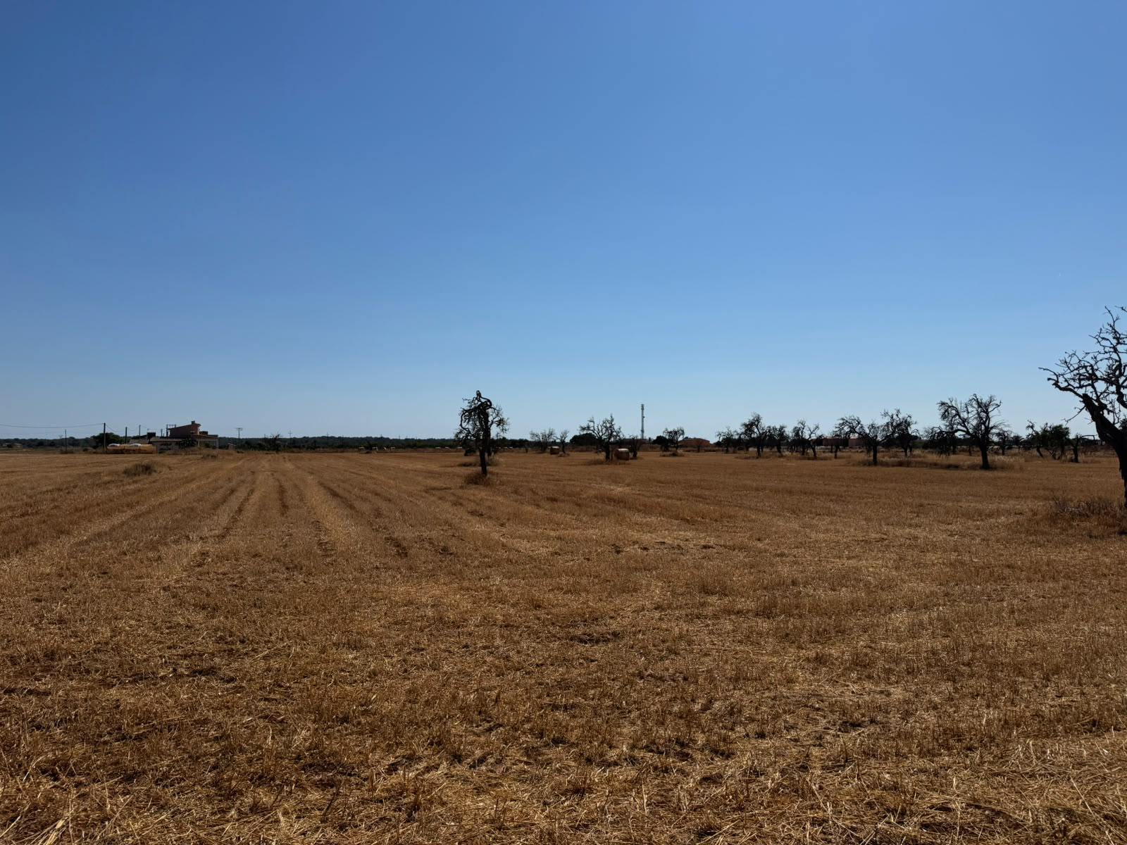 living - 19,544m² plot with 19,544m² garden for sale in Campos - gallery thumbnail - 9