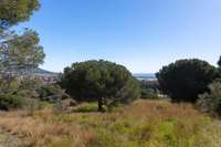 living - Parcela de 1,530m² en venta en Premià de Dalt, Barcelona - gallery thumbnail - 1