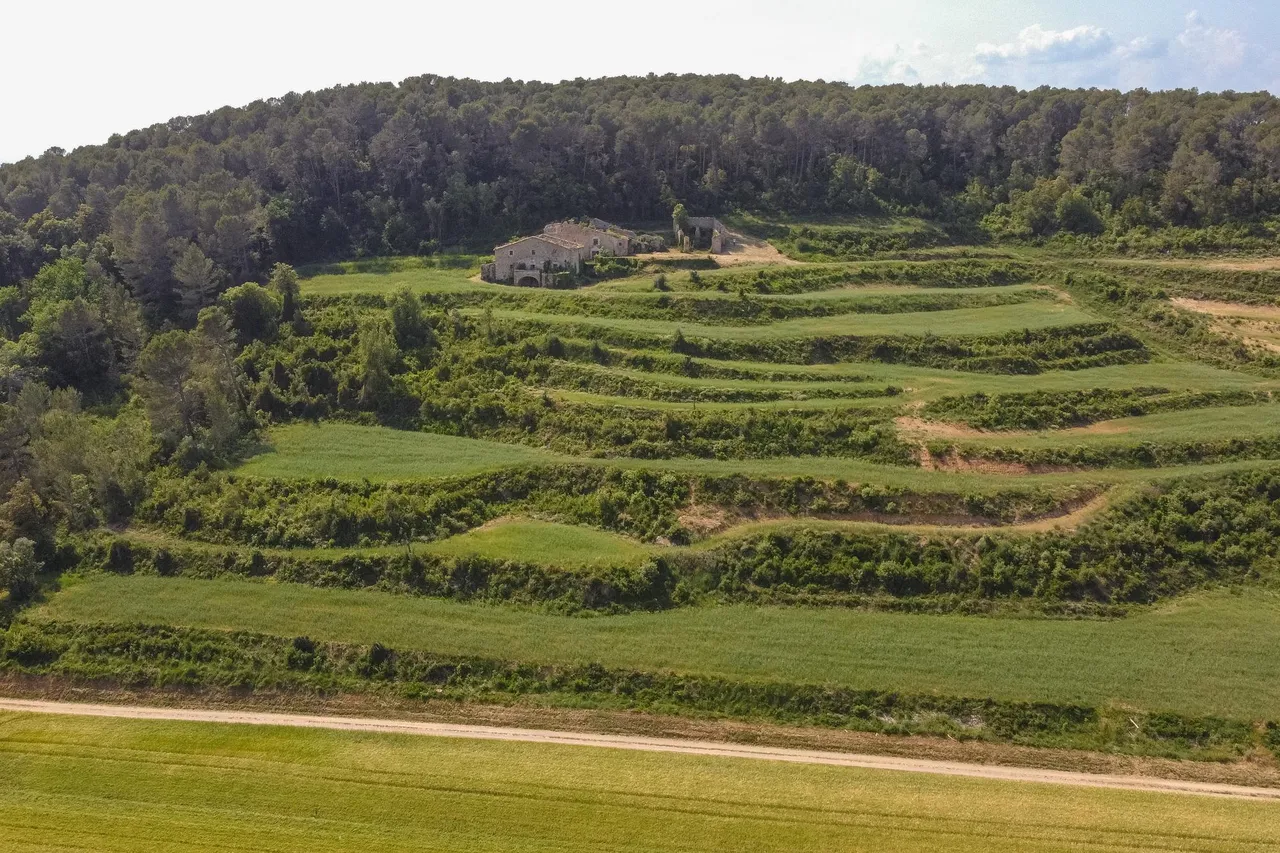 living - 1,300m² country house for sale in Alt Empordà, Girona - gallery - 4