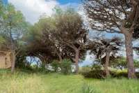living - 1,674m² plot for sale in Arenys de Mar, Barcelona - gallery thumbnail - 10