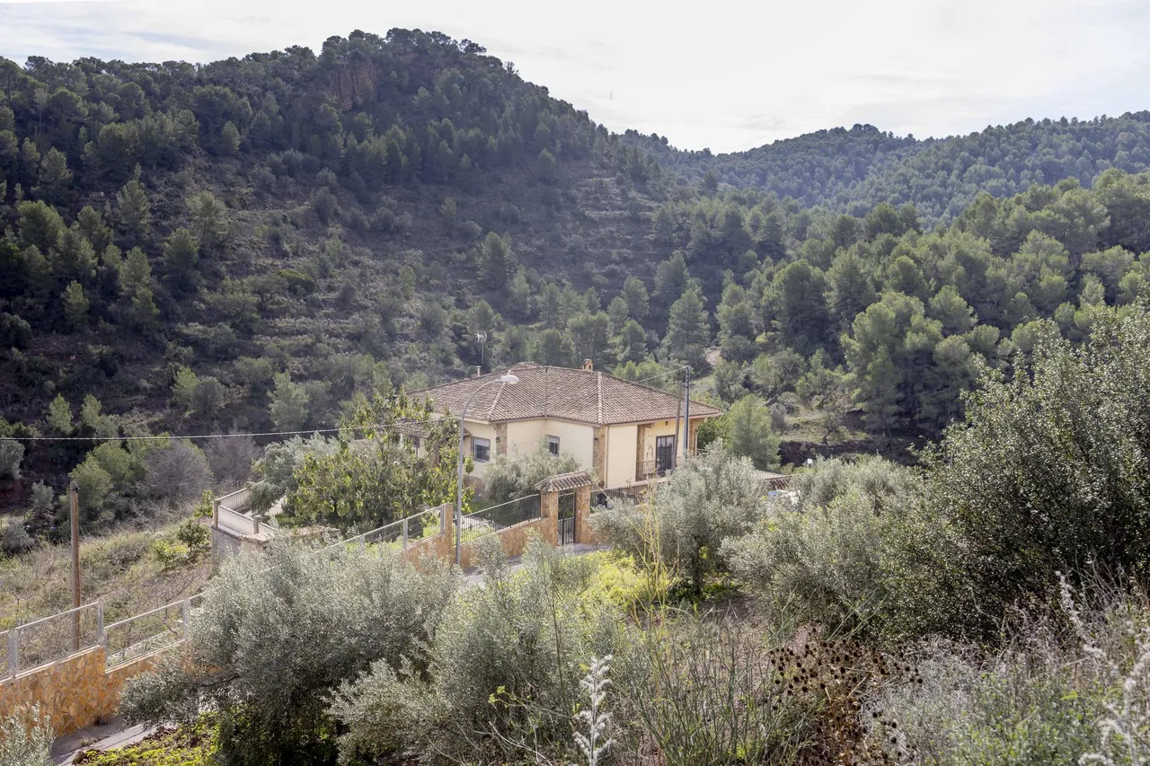 living - 440m² house / villa for sale in Valencia Region, Valencia - gallery - 5