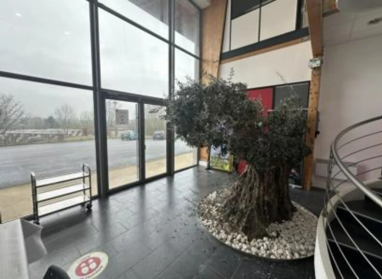 logistics - Warehouse / Offices For Sale - gallery - 6