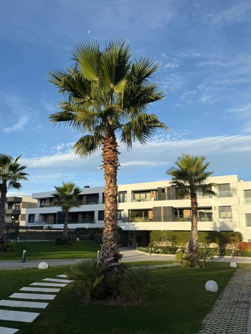 living - Piso de 176m² con 50m² de jardín en alquiler en Las Rozas - featured