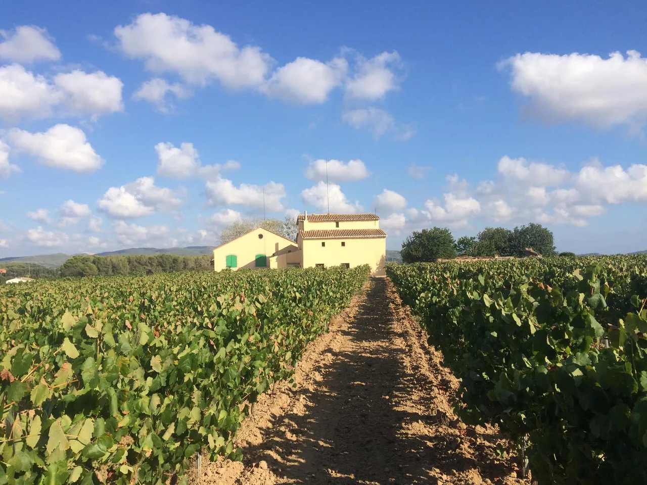 living - 1,314 m² country house for sale in Penedès, Sitges - gallery - 5