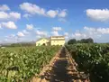 living - 1,314 m² country house for sale in Penedès, Sitges - gallery thumbnail - 5