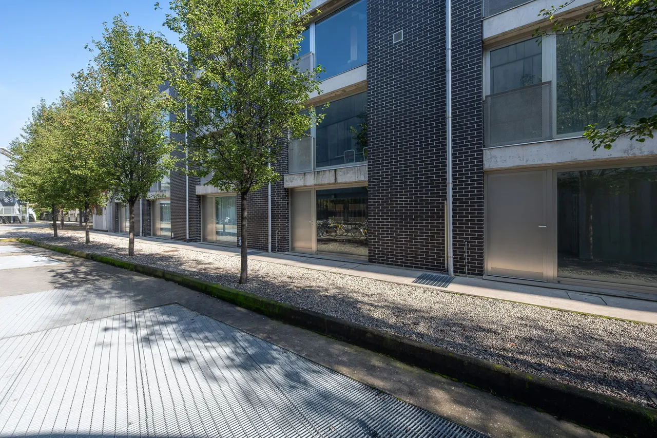 living - Amadeo 57 - Living - Dils - gallery - 6