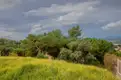 living - 728m² plot for sale in Lloret de Mar, Costa Brava - gallery thumbnail - 6