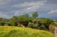 living - Parcela de 728m² en venta en Lloret de Mar, Costa Brava - gallery thumbnail - 6