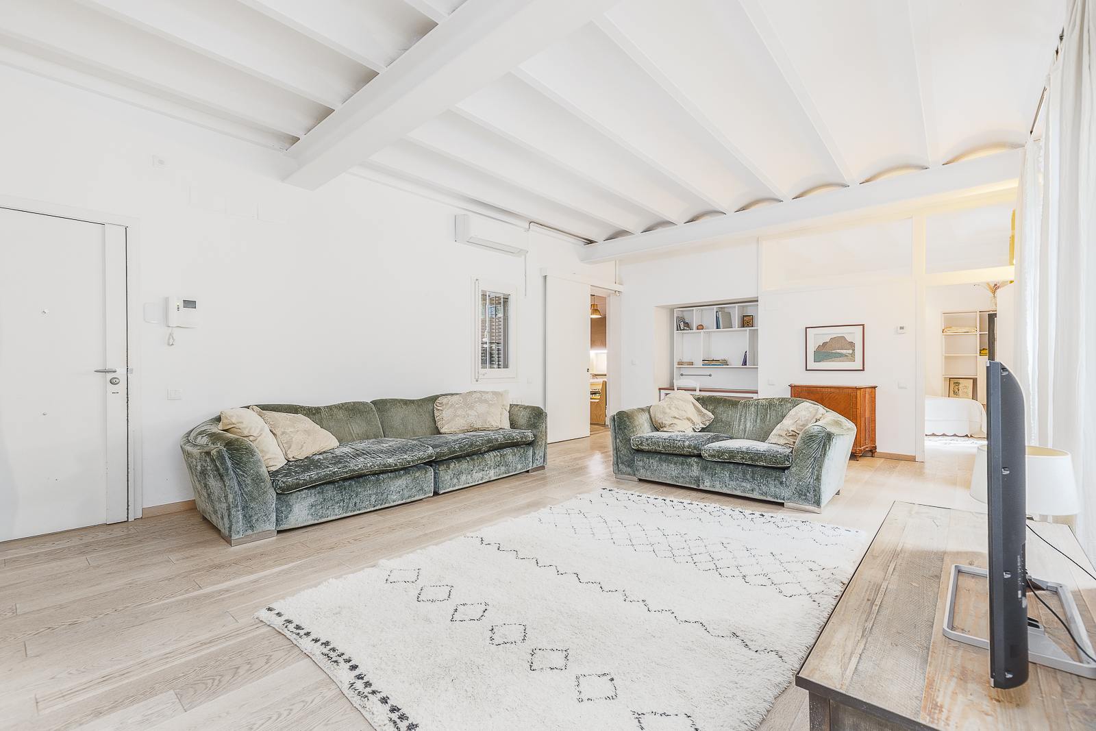 living - 195m² apartment with 10m² terrace for sale in El Born - gallery thumbnail - 4