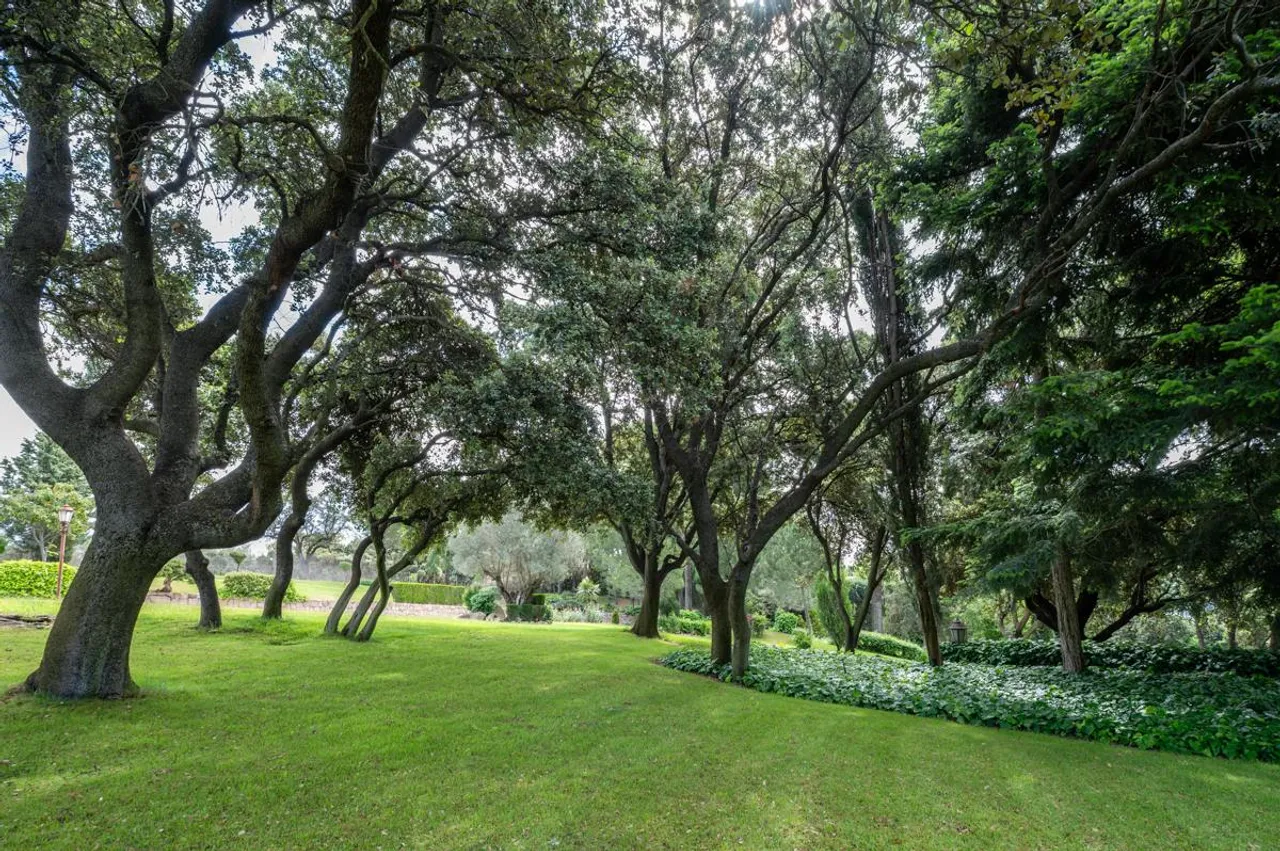 living - Casa / villa de 1,600m² en venta en La Moraleja Urbanización - gallery - 7