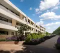 living - Auras - gallery thumbnail - 4