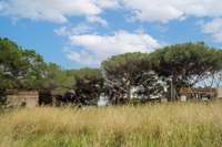 living - 1,674m² plot for sale in Arenys de Mar, Barcelona - gallery thumbnail - 8