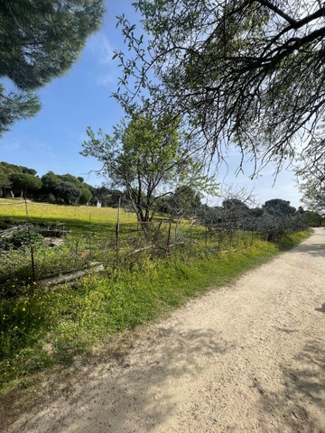 living - Parcela de 4,080m² en venta en Majadahonda, Madrid - featured