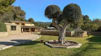 living - Casa rural de 312m² en venta en Calvià, Islas Baleares - gallery thumbnail - 2