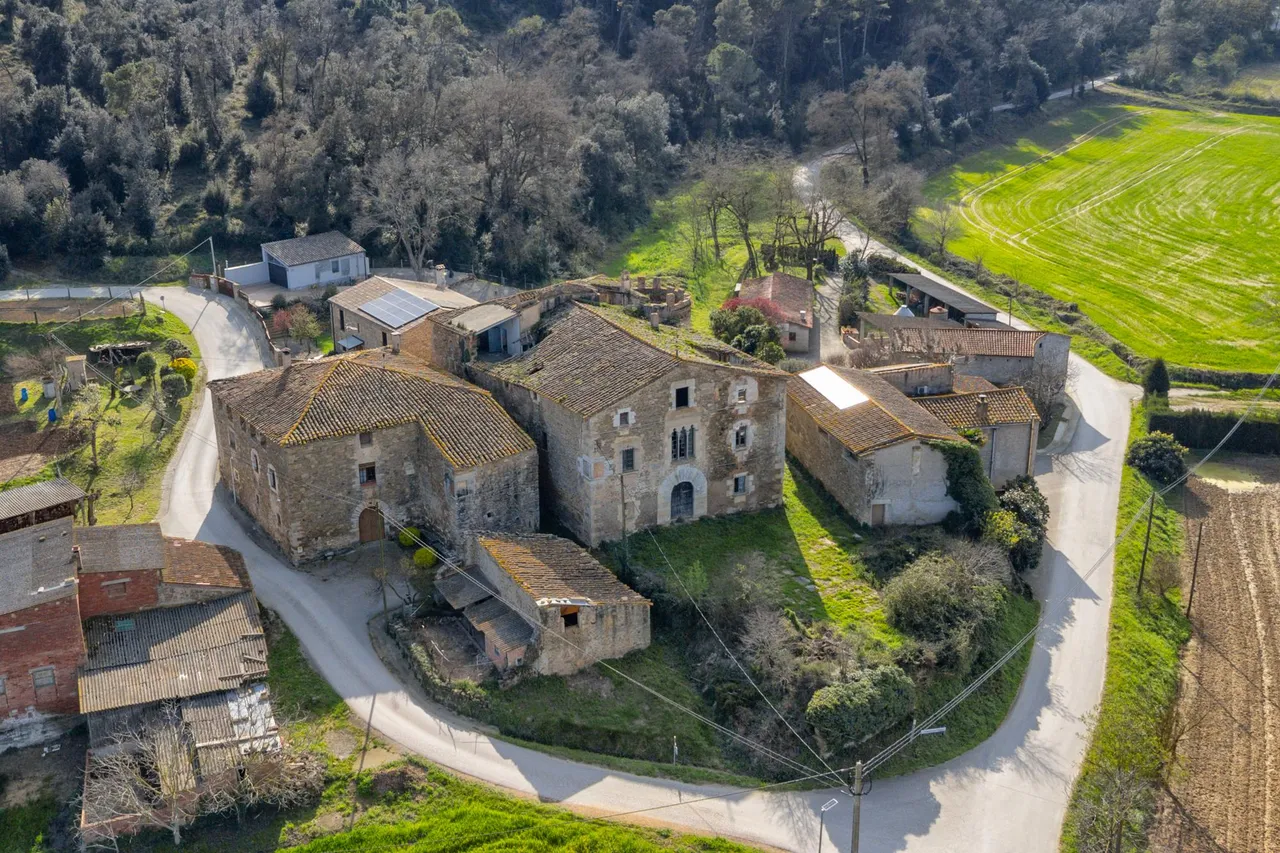 living - Castillo / palacio de 680m² en venta en Pla de l'Estany - gallery - 2