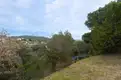 living - 1,146m² plot for sale in Alella, Barcelona - gallery thumbnail - 8