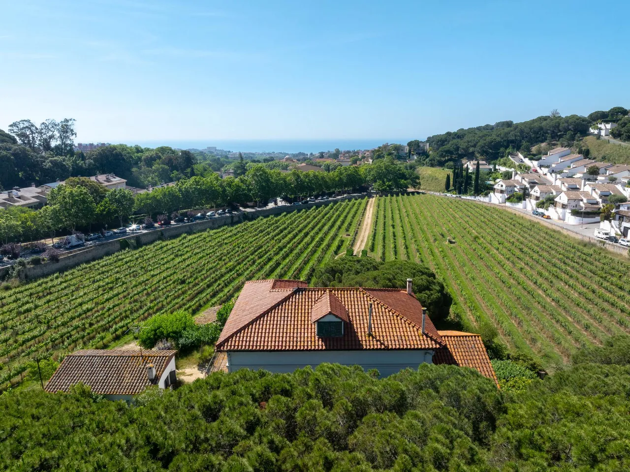 living - Casa rural de 922m² con 27,090m² de jardín en venta en Alella - gallery - 5
