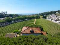 living - Casa rural de 922m² con 27,090m² de jardín en venta en Alella - gallery thumbnail - 5
