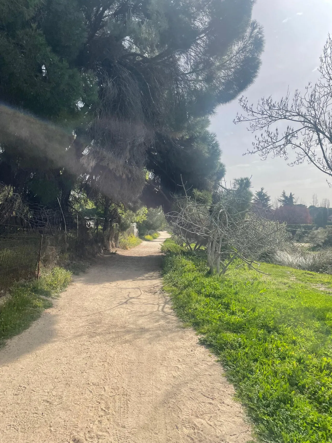 living - 4,080m² plot for sale in Majadahonda, Madrid - gallery - 6
