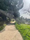 living - 4,080m² plot for sale in Majadahonda, Madrid - gallery thumbnail - 6