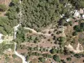 living - 520m² plot for sale in San Antonio, Balearic Islands - gallery thumbnail - 8