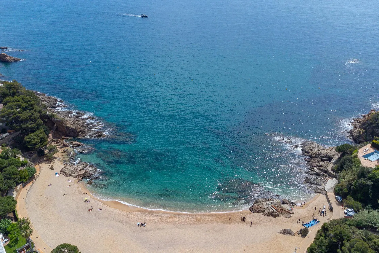 living - 803m² plot for sale in Blanes, Costa Brava - gallery - 5