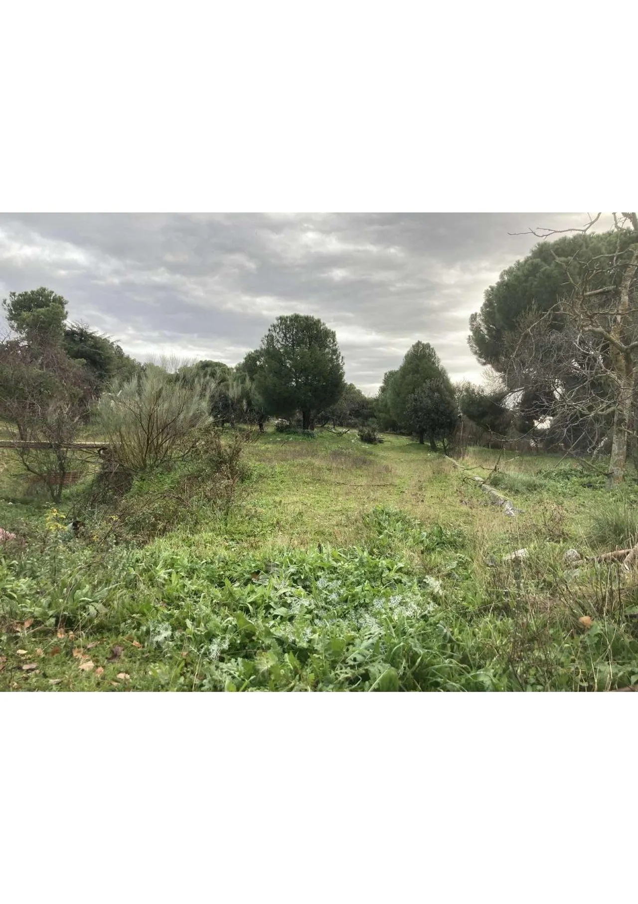 living - 4,080m² plot for sale in Majadahonda, Madrid - gallery - 5