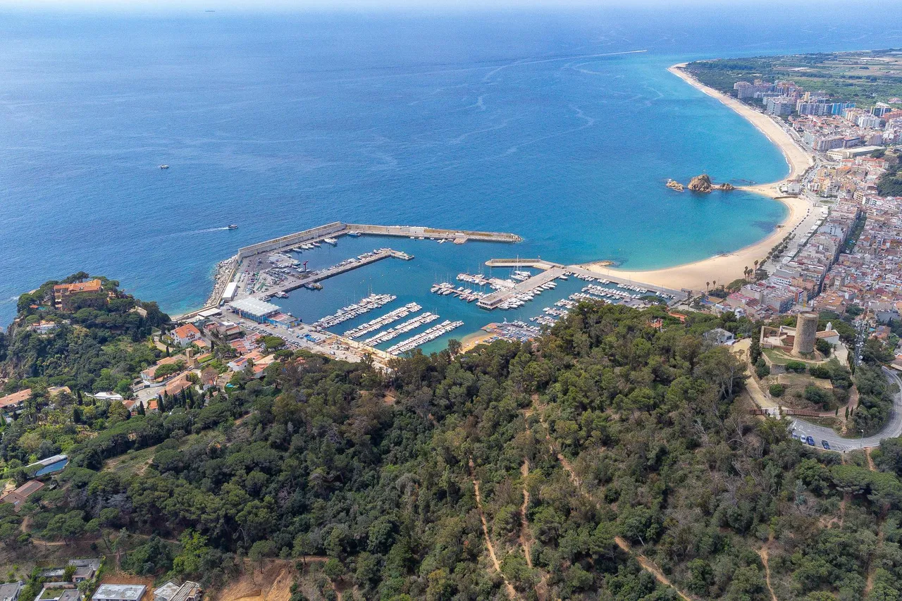living - 803m² plot for sale in Blanes, Costa Brava - gallery - 6
