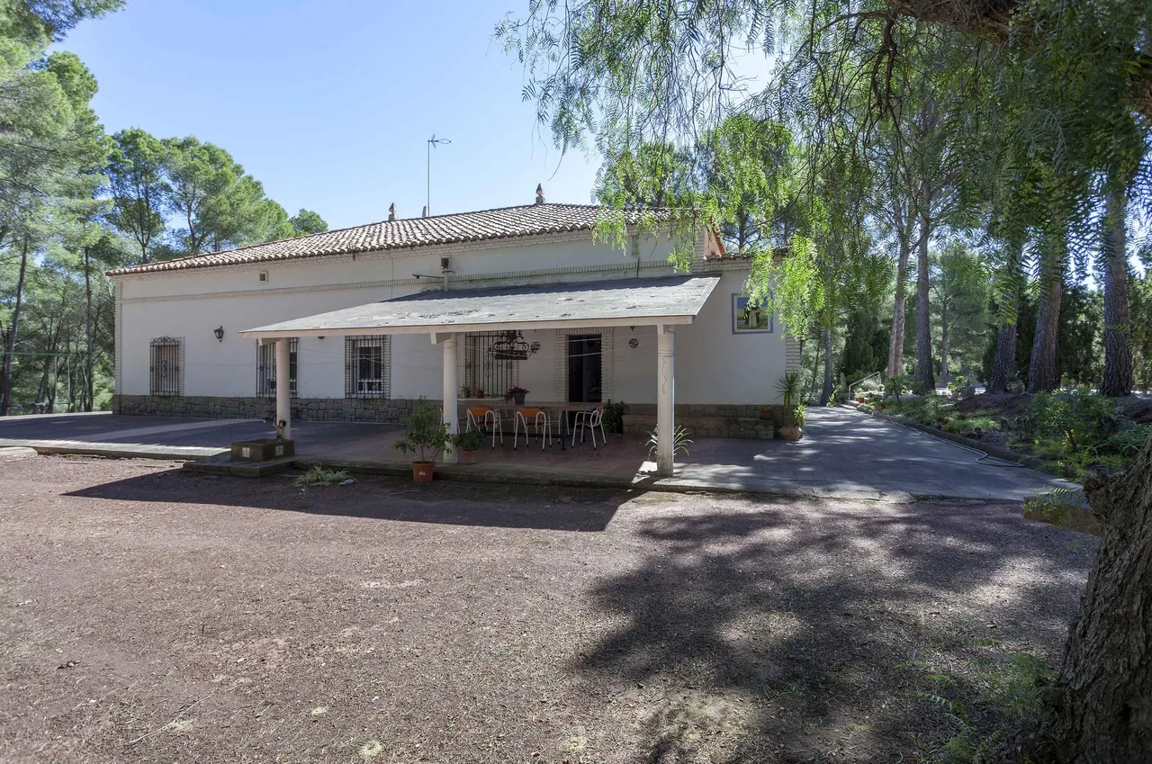 living - 367m² house / villa for sale in Bétera, Valencia - gallery - 10