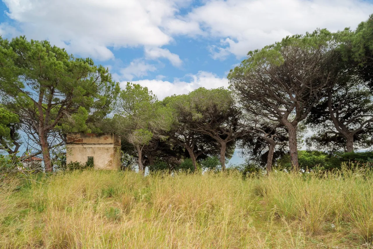 living - Parcela de 1,674m² en venta en Arenys de Mar, Barcelona - gallery - 9