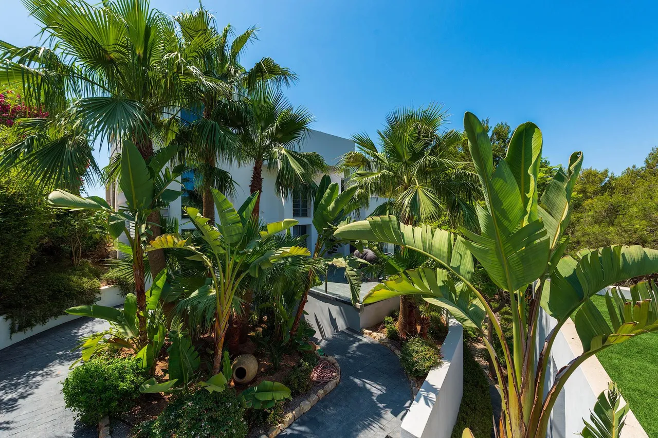 living - 525m² house / villa for sale in Ibiza Town - gallery - 4