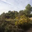living - 590 m² country estate for sale in Penedès, Sitges - gallery thumbnail - 6