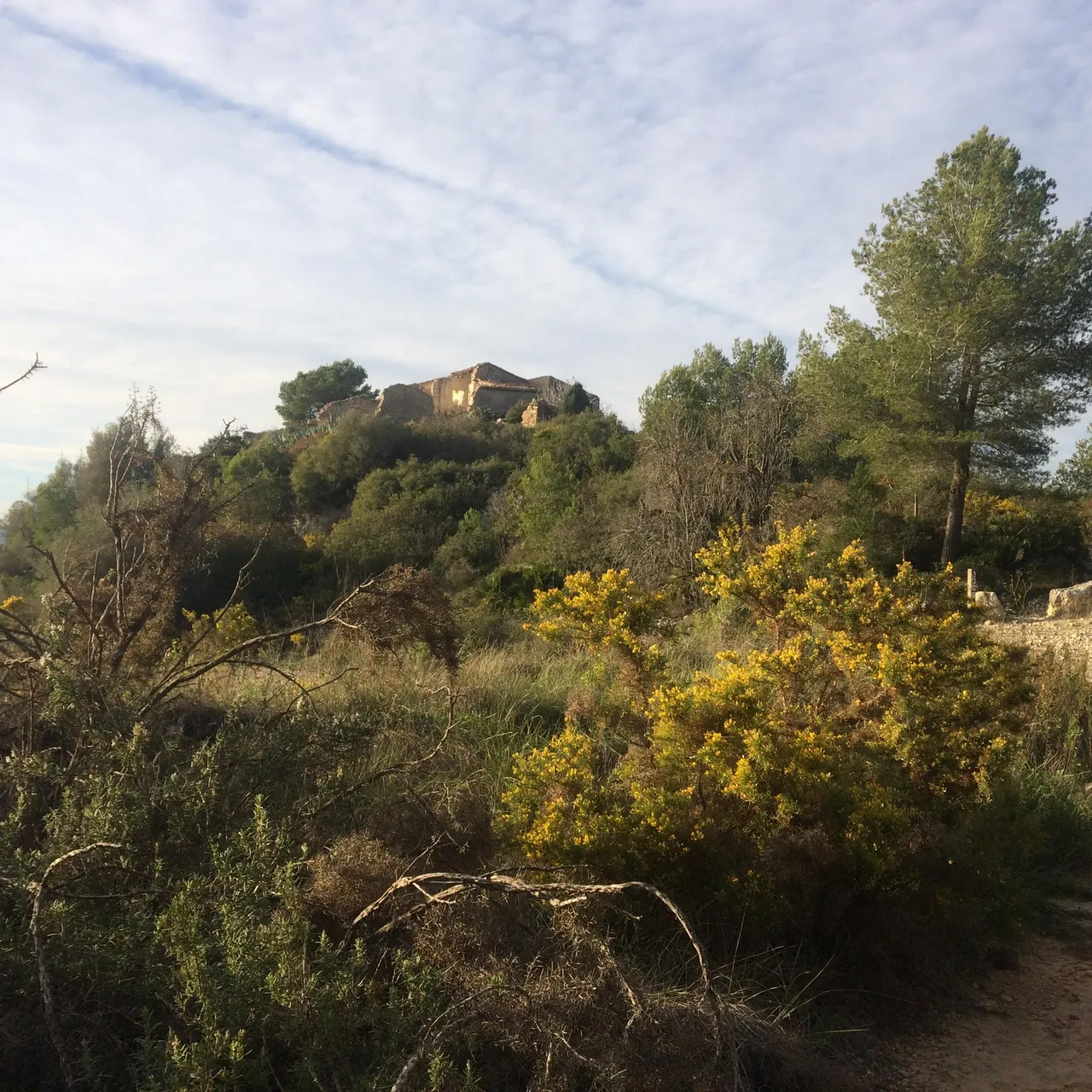 living - Masía de 590 m² en venta en Penedès, Sitges - gallery - 6