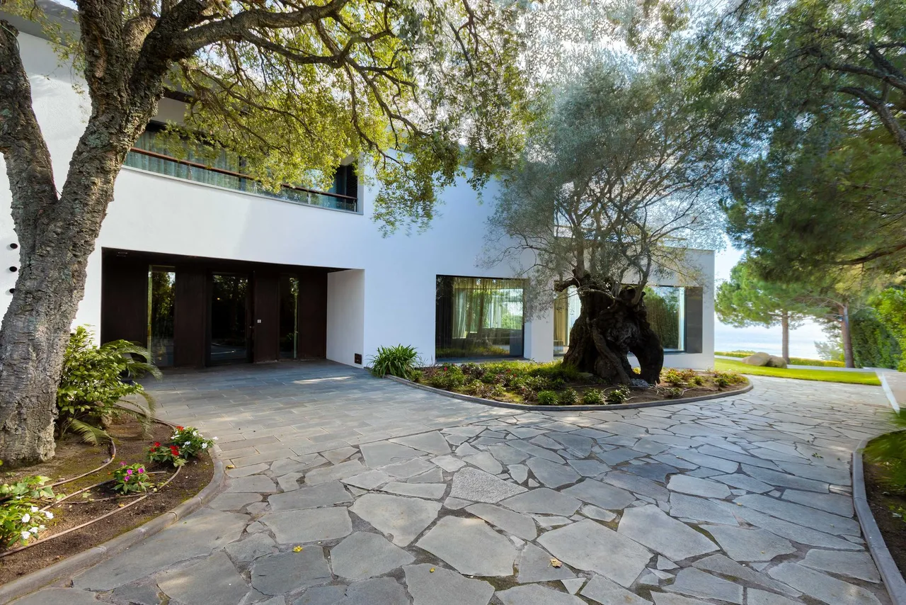 living - Casa / villa de 1,005m² con 4,339m² de jardín en venta en Sant Andreu de Llavaneres - gallery - 7