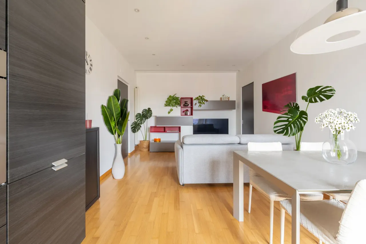 living - Silva 43 - Living - Dils - gallery - 9