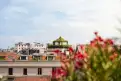 living - Leopardi 15 - Living - Dils - gallery thumbnail - 18