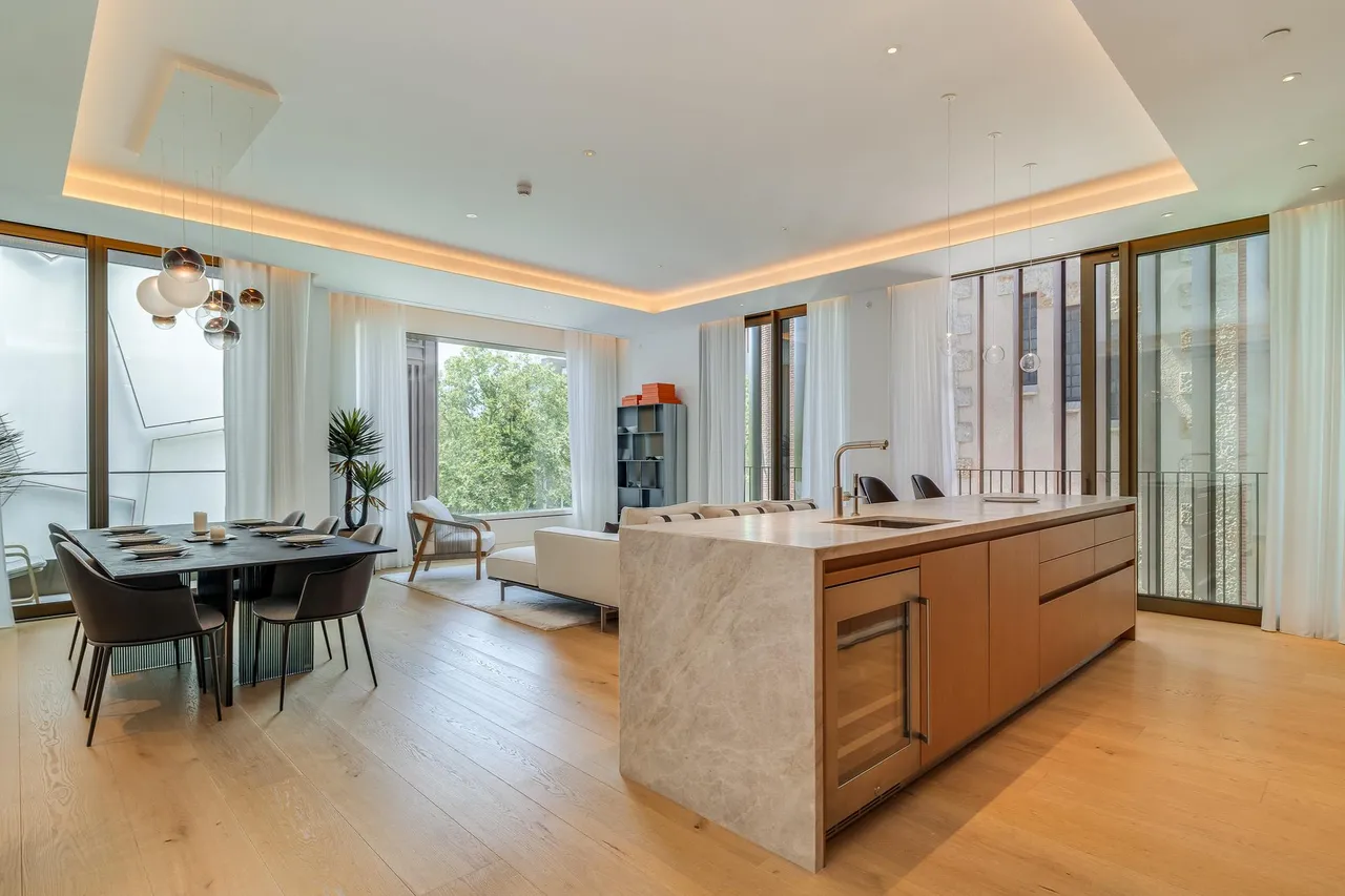 living - 186m² apartment for sale in Gràcia, Barcelona - gallery - 2