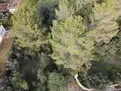 living - Parcela de 2,134m² en venta en Bunyola, Islas Baleares - gallery thumbnail - 7