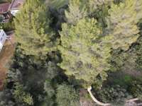 living - Parcela de 2,134m² en venta en Bunyola, Islas Baleares - gallery thumbnail - 7