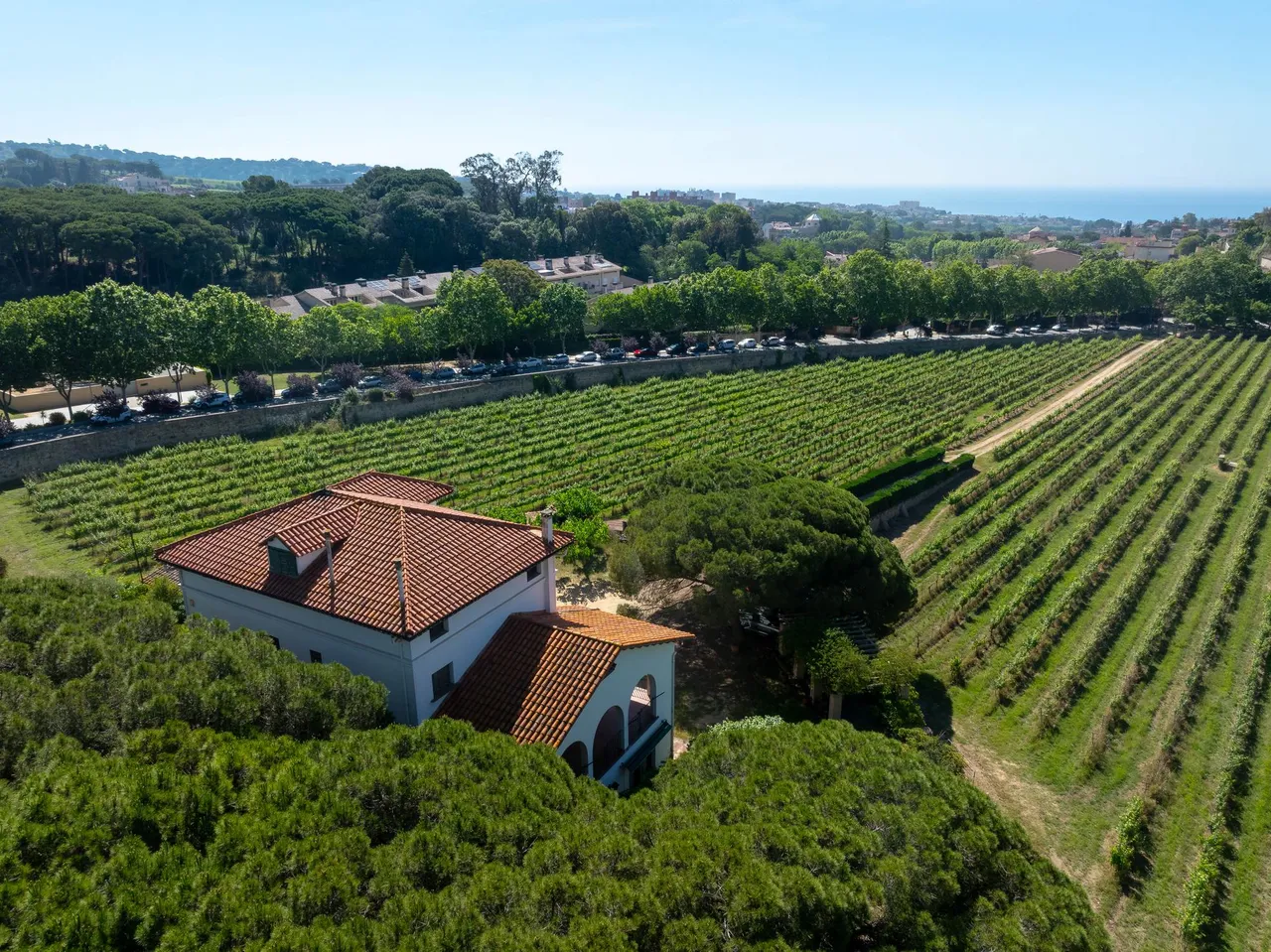 living - 922m² country house with 27,090m² garden for sale in Alella - gallery - 6