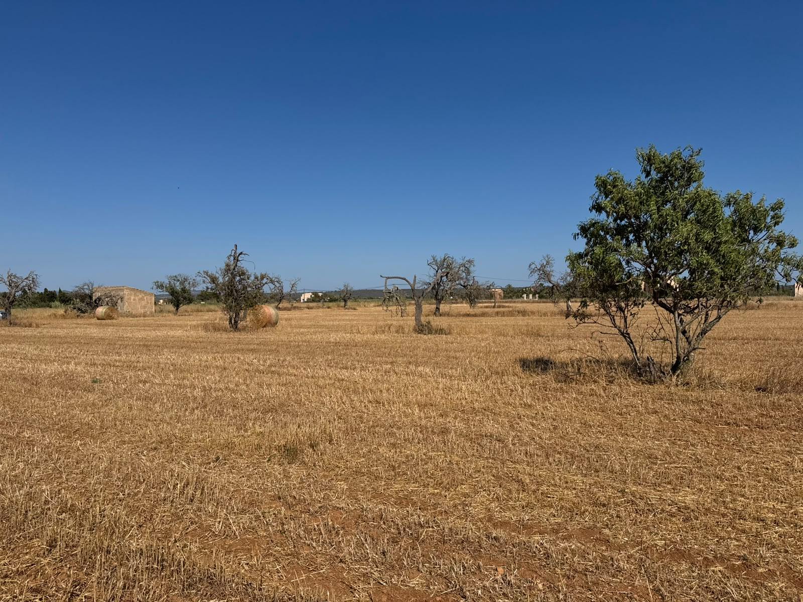 living - Parcela de 19,544m² con 19,544m² de jardín en venta en Campos - gallery - 10