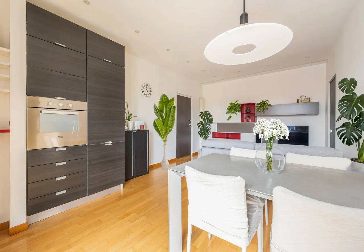 living - Silva 43 - Living - Dils - gallery - 6