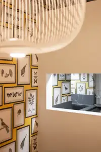 living - Cinque Giornate 7 - Living - Dils - gallery thumbnail - 15