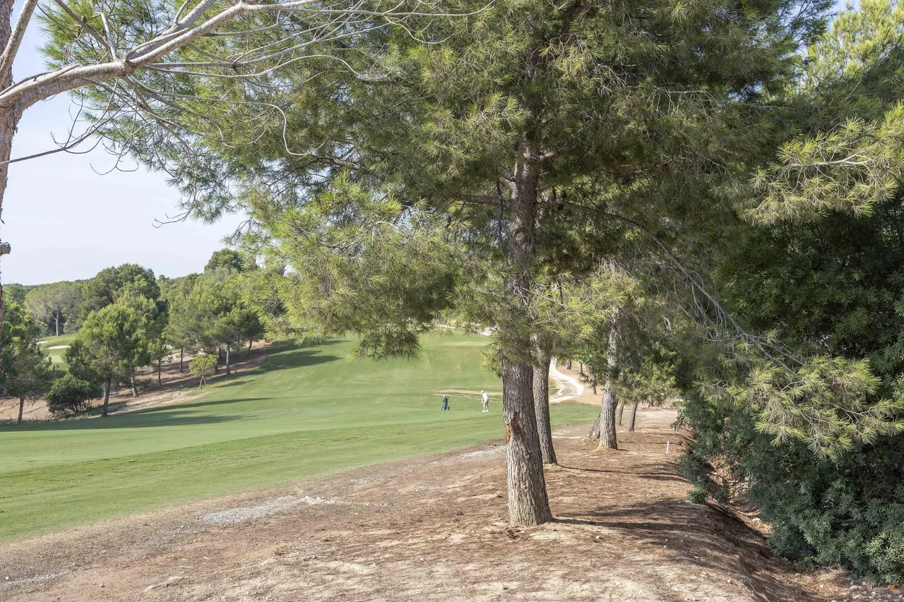 living - 2,429m² plot for sale in El Bosque / Chiva, Valencia - gallery - 6