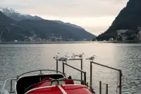 living - THE FLAG - Levend - Dils - gallery thumbnail - 7