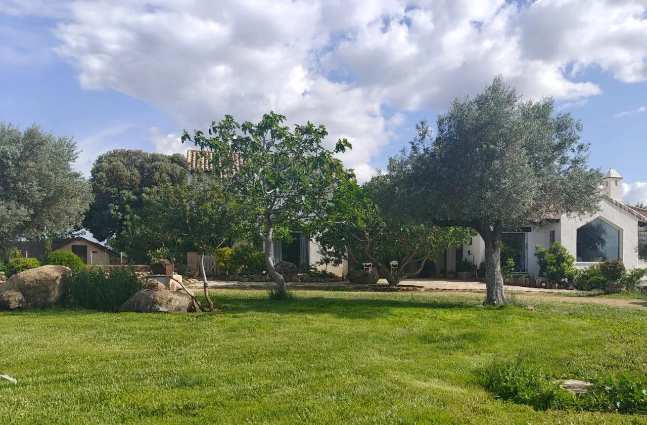 living - 578m² country house for sale in Sierra de Madrid, Madrid - gallery - 4