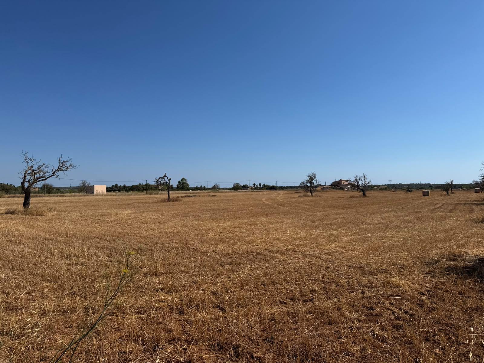 living - Parcela de 19,544m² con 19,544m² de jardín en venta en Campos - gallery - 7