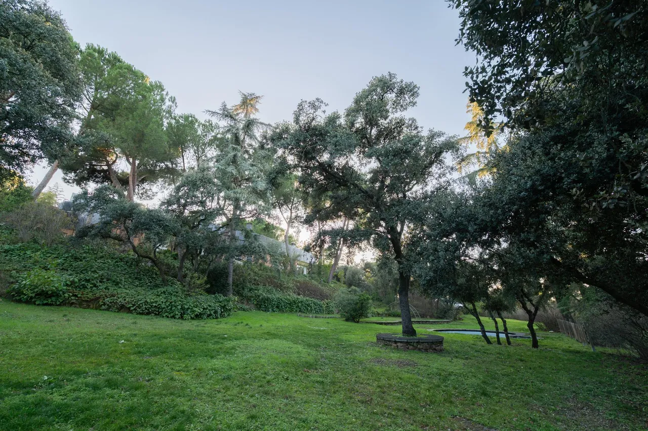 living - 1,982m² plot for sale in La Moraleja Urbanización, Madrid - gallery - 7