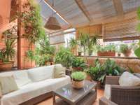 living - 300m² apartment with 41m² terrace for sale in Palma de Mallorca - gallery thumbnail - 2