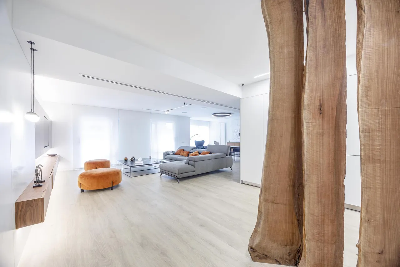 living - 208m² apartment with 10m² terrace for sale in El Pla del Remei - gallery - 2
